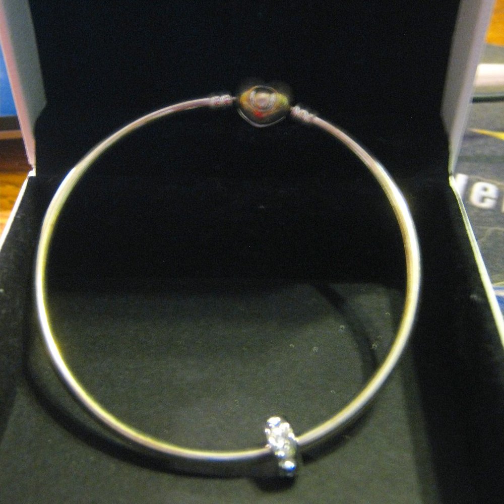 Pandora Moments Bracelet with one charm